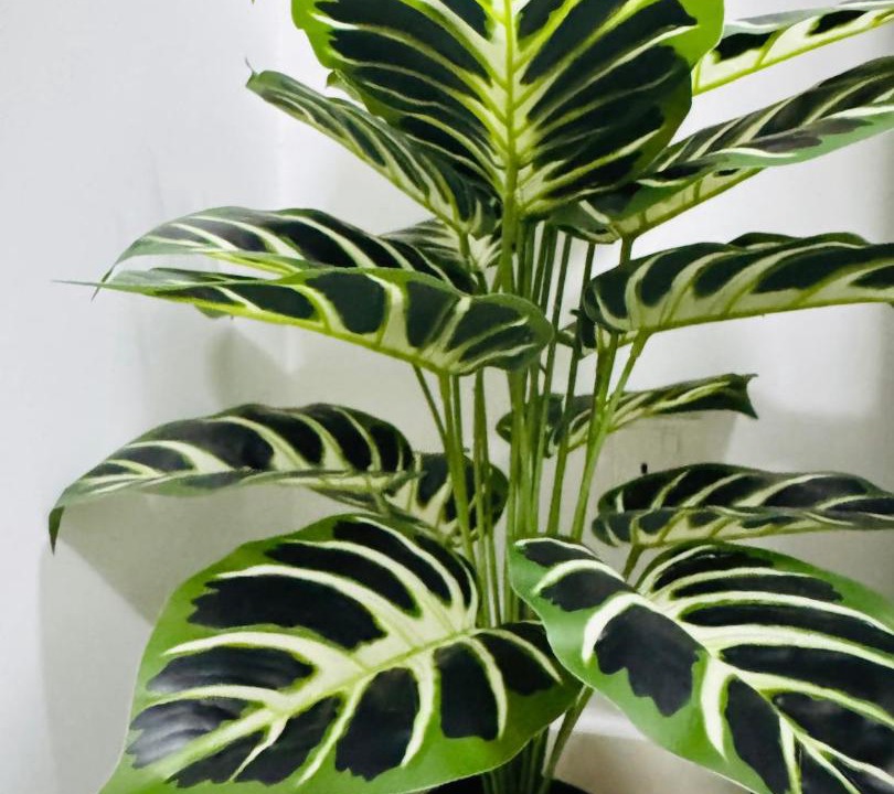 Photo of Others in Kota Warisan