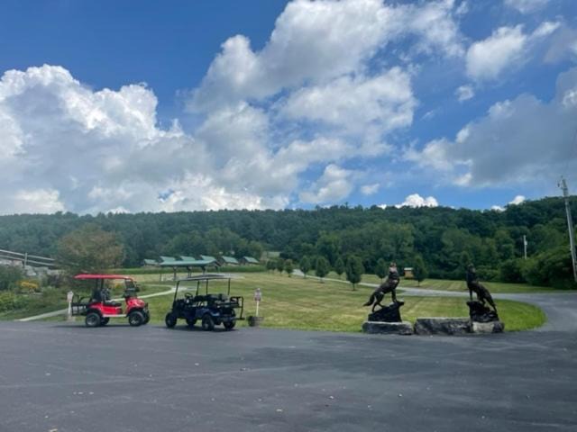 Photo of Others in Oneida