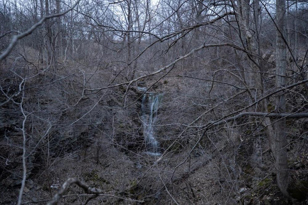 Photo of Others in Oneida