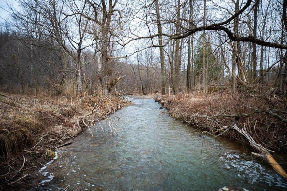 Photo of Others in Oneida