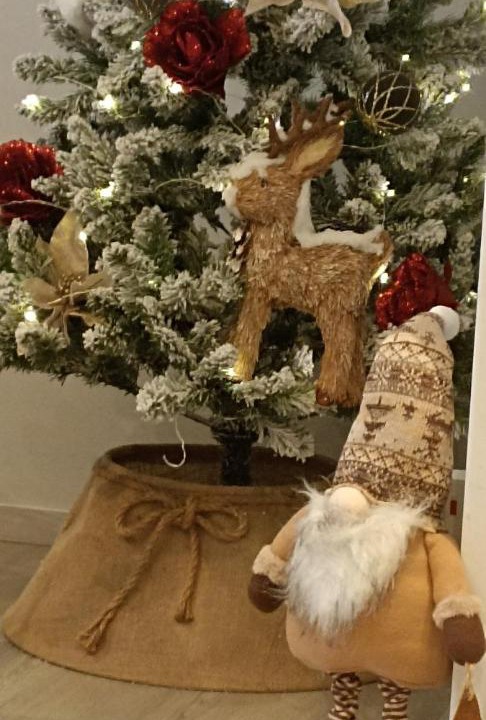 Photo of Others in Onzain