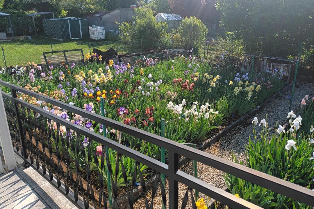 Photo of Others in Tonnerre