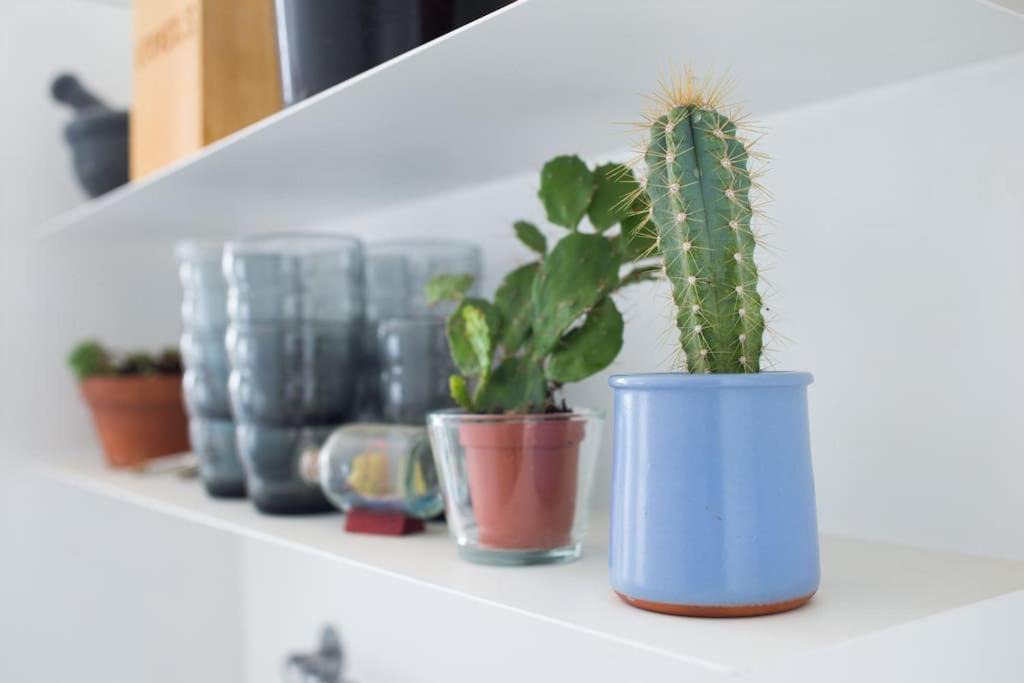 Photo of Others in Hastings