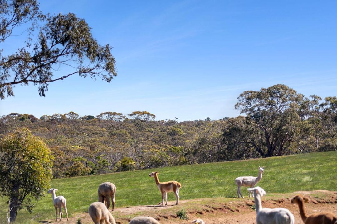 Photo of Others in Bellbrae