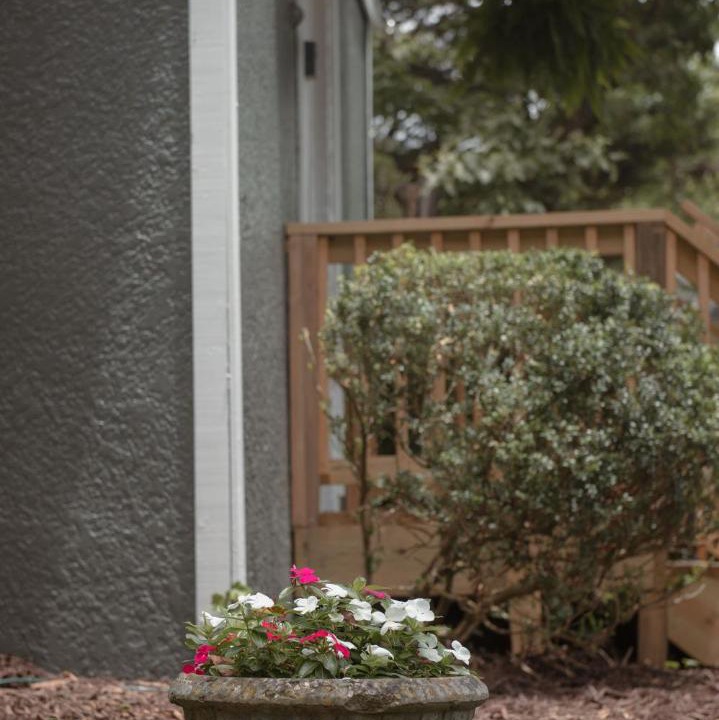 Photo of Others in Lookout Mountain