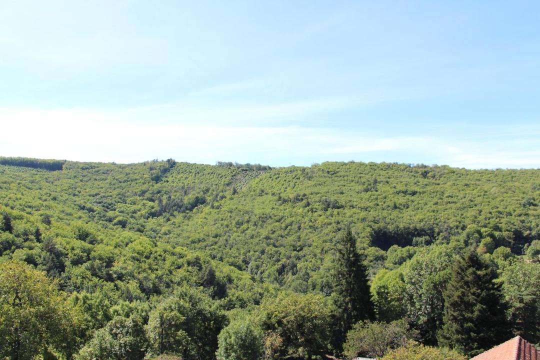 Photo of Others in Saint-Jean-du-Bruel