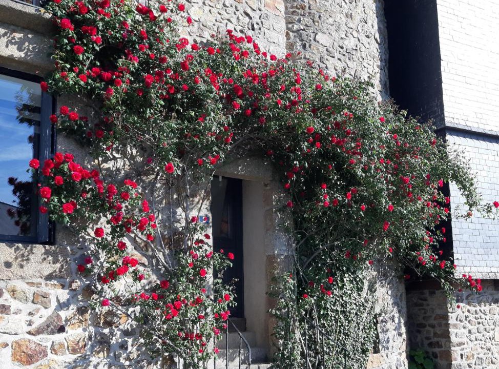 Photo of Others in La Gravelle