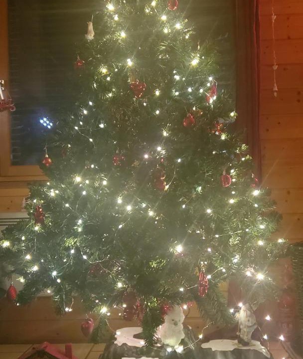 Photo of Others in Bourbon-Lancy