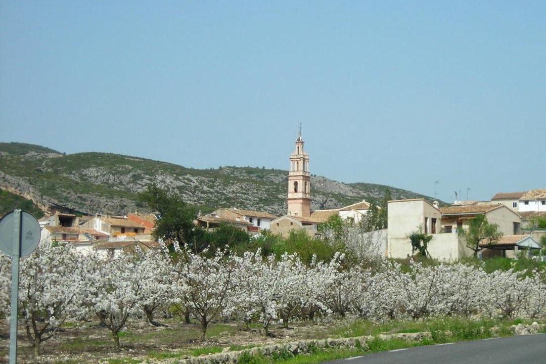 Photo of Others in Benisili