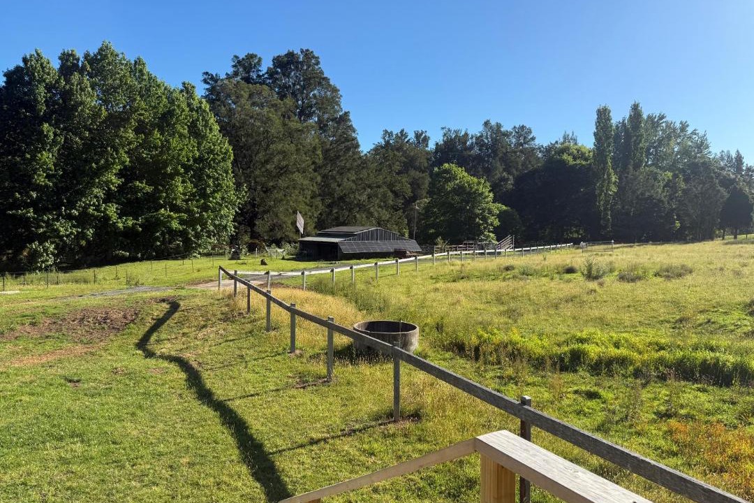 Photo of Others in Wattamolla