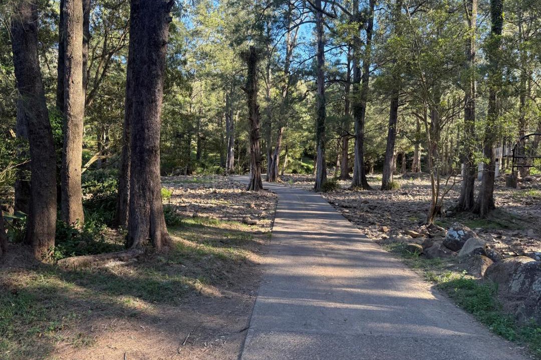 Photo of Others in Wattamolla