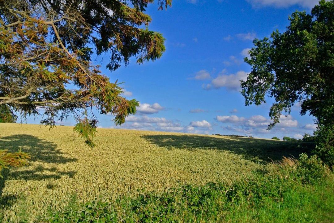 Photo of Others in Hejlsminde
