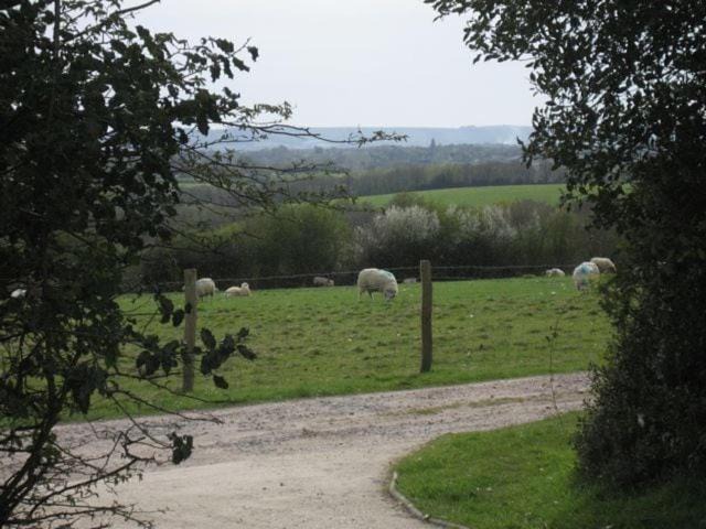 Photo of Others in Piltdown