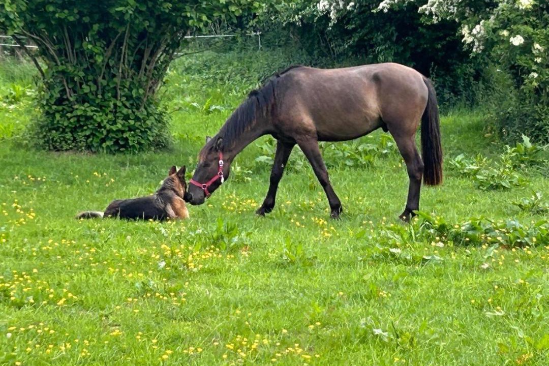 Photo of Others in Beaurainville