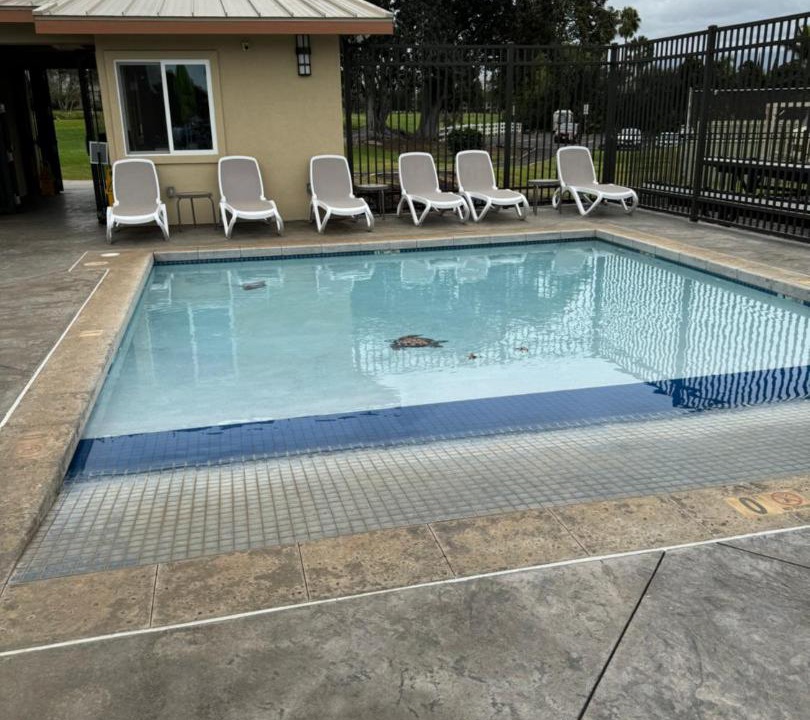 Photo of Others in Waikoloa Village