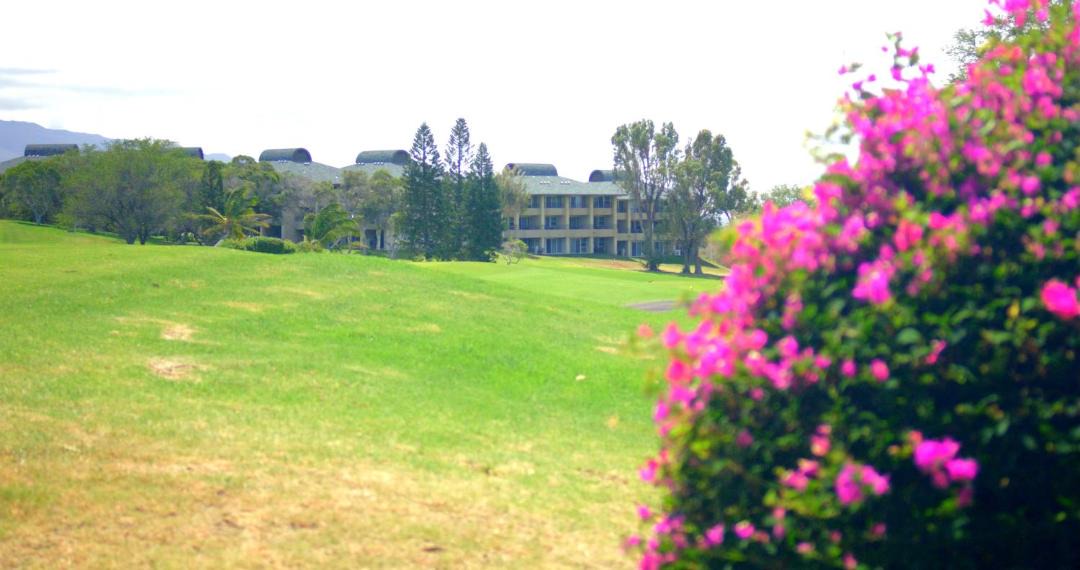 Photo of Others in Waikoloa Village