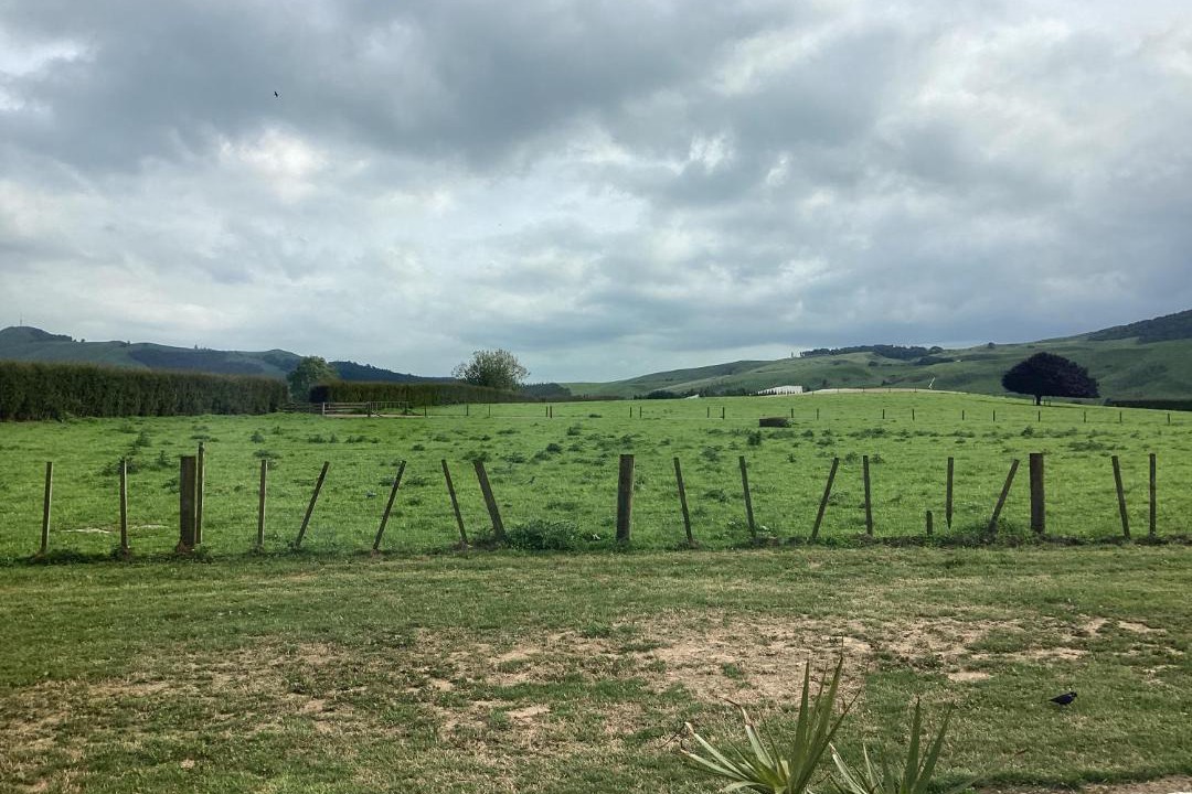 Photo of Others in Te Miro