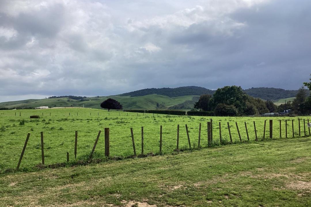 Photo of Others in Te Miro