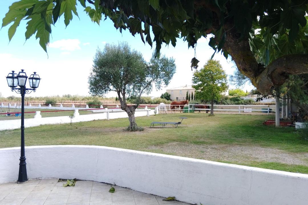 Photo of Others in Saint-Laurent-d'Aigouze