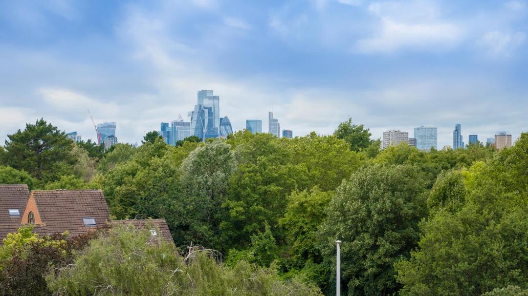 Photo of Others in Surrey Docks
