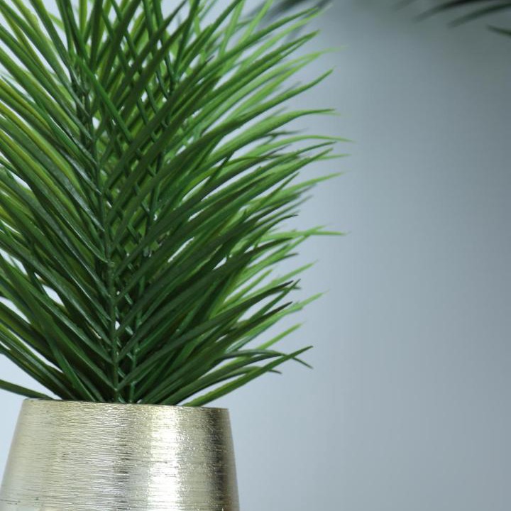 Photo of Others in Vaires-sur-Marne