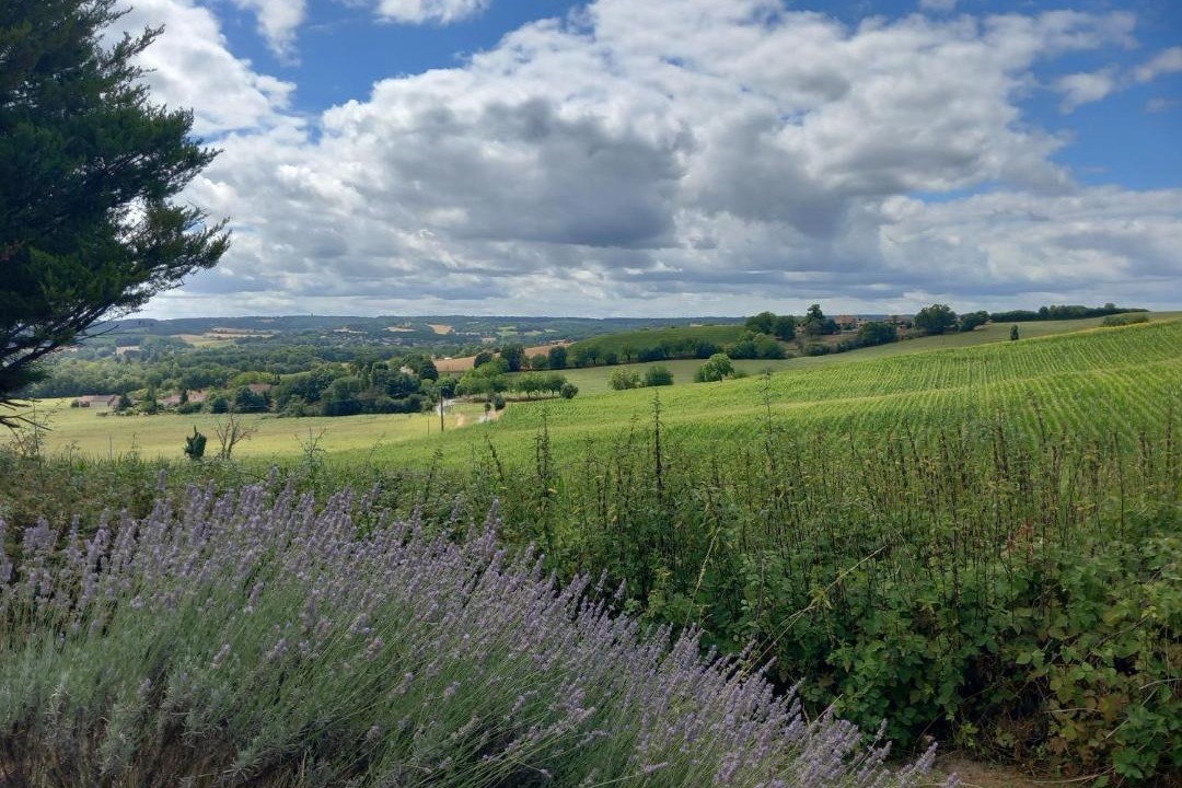 Photo of Others in Montagrier