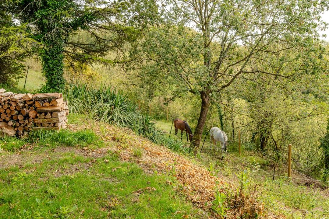 Photo of Others in Puycalvel