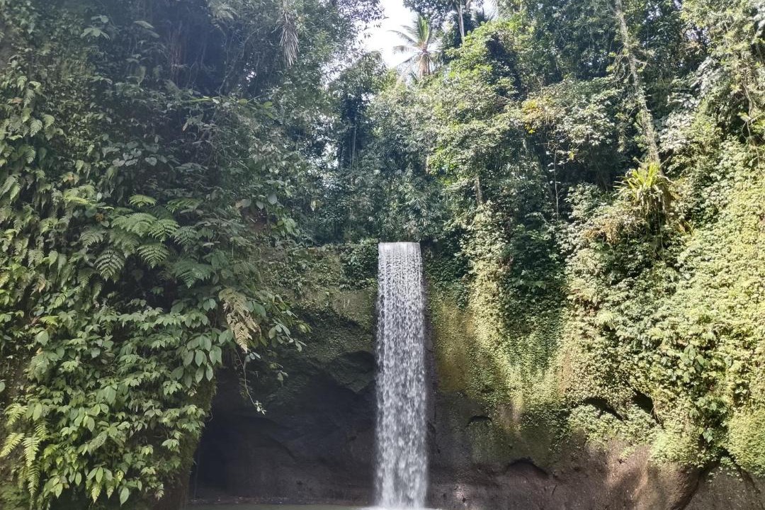 Photo of Others in Tembuku