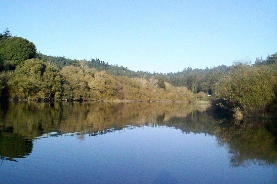 Photo of Others in Occidental