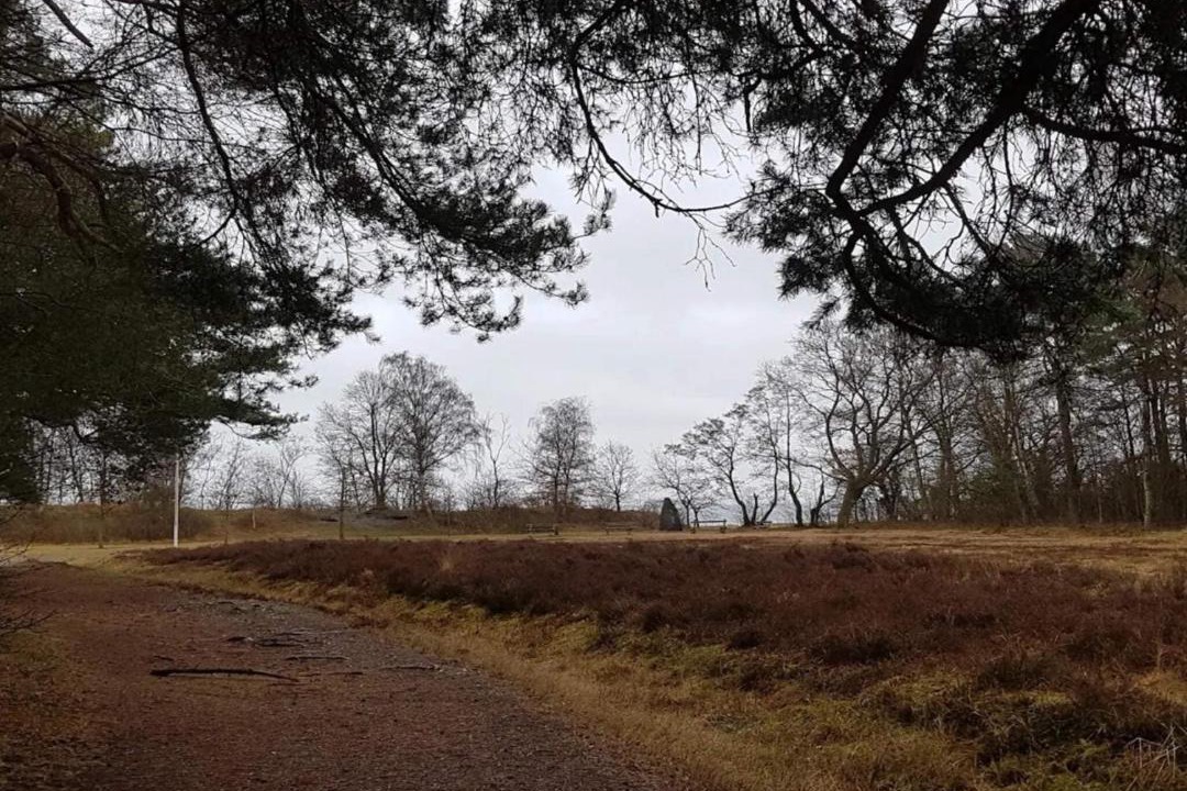 Photo of Others in Lystrup