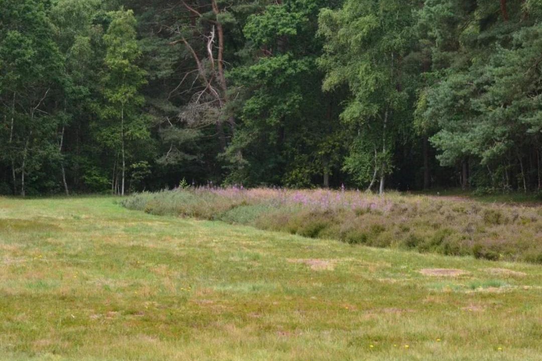 Photo of Others in Lystrup