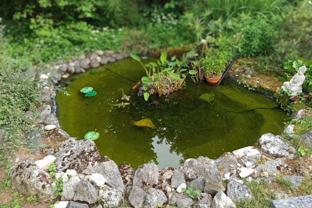 Photo of Others in Marthon