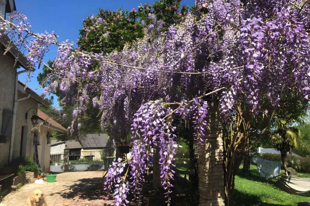 Photo of Others in Parbayse