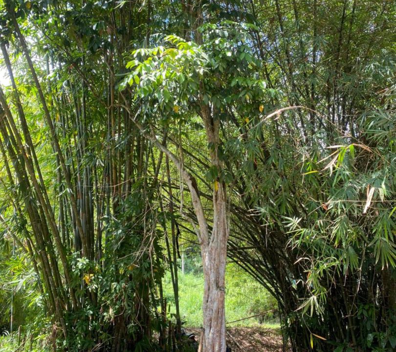 Photo of Others in Hulu Langat