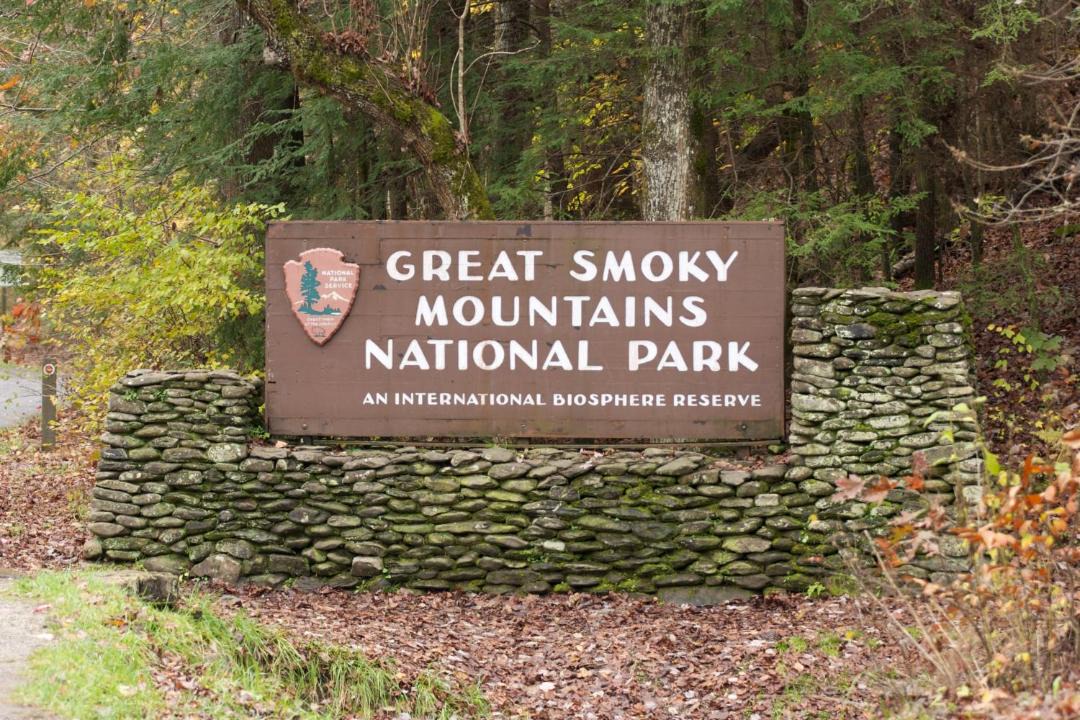 Photo of Others in Hemlock Hills