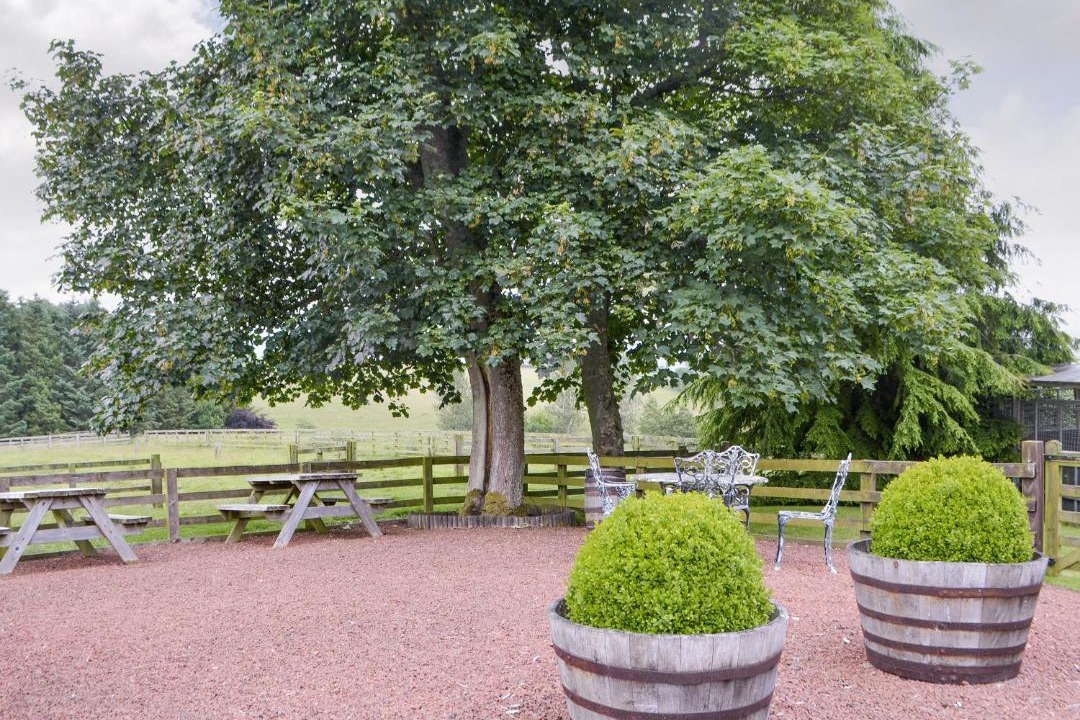 Photo of Others in Hallington