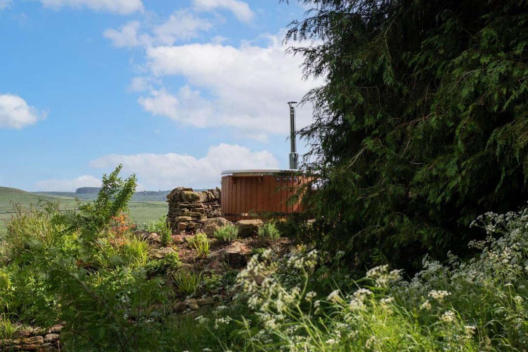 Photo of Others in Hallington