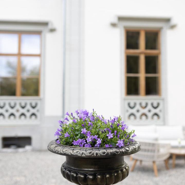 Photo of Others in Vevey