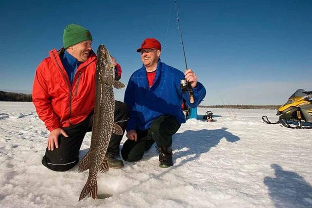 Photo of Others in Haliburton