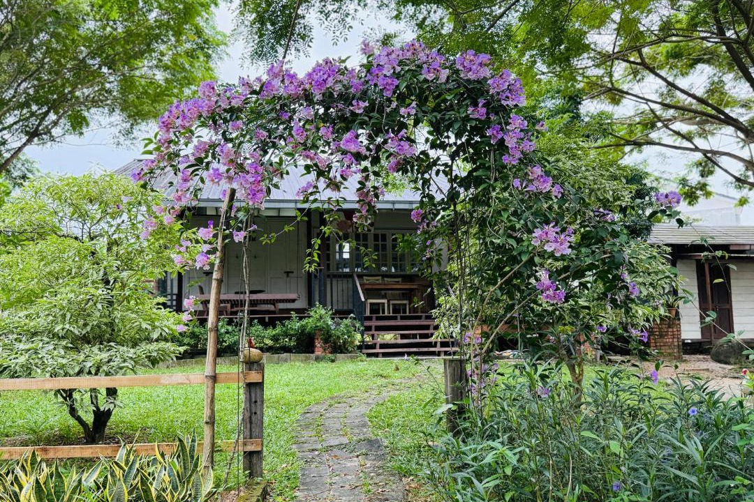 Photo of Others in Central Seberang Perai
