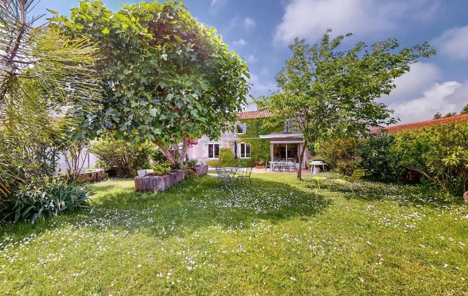 Photo of Others in Semussac