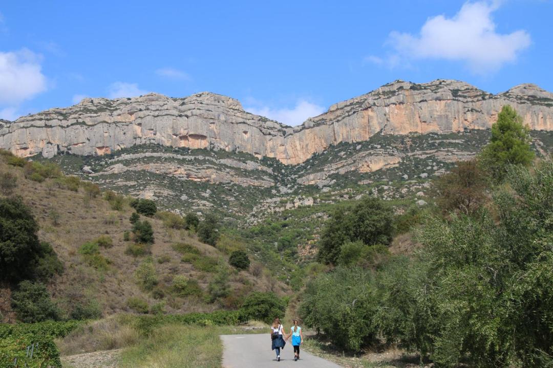 Photo of Others in Parc de Mont-roig