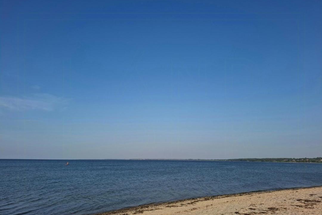 Photo of Others in Vejlby Fed