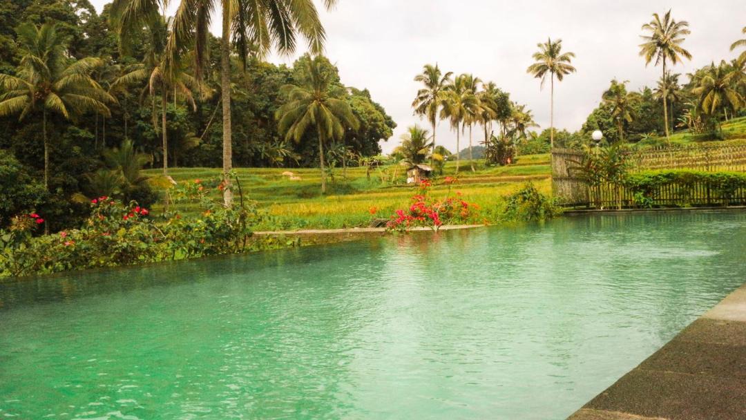 Photo of Others in Banyuwangi