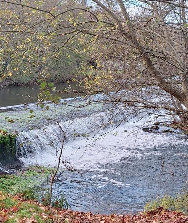 Photo of Others in Ruffec