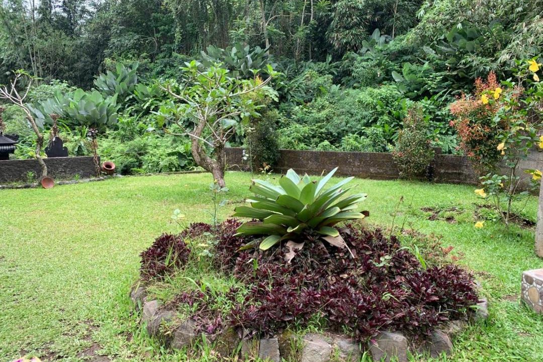 Photo of Outdoor in Nungnung