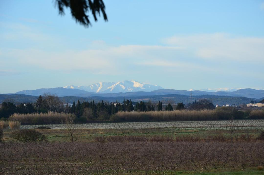Photo of Outdoor in Lezignan-Corbieres