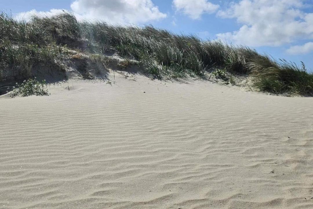 Photo of Others in Rindby Strand