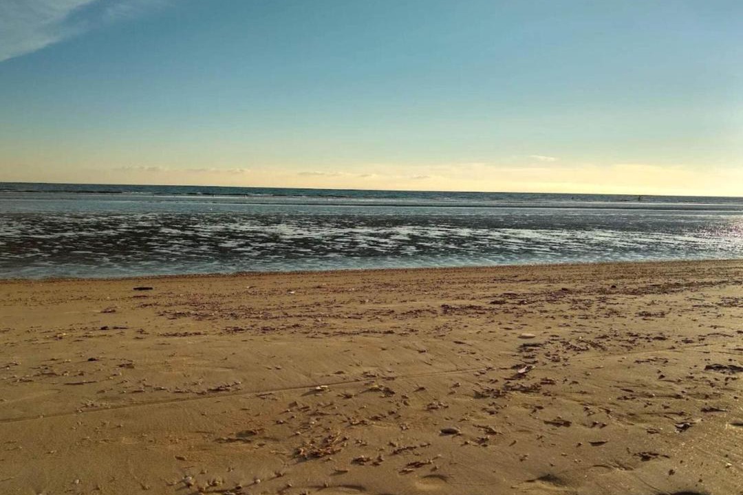 Photo of Others in Rindby Strand
