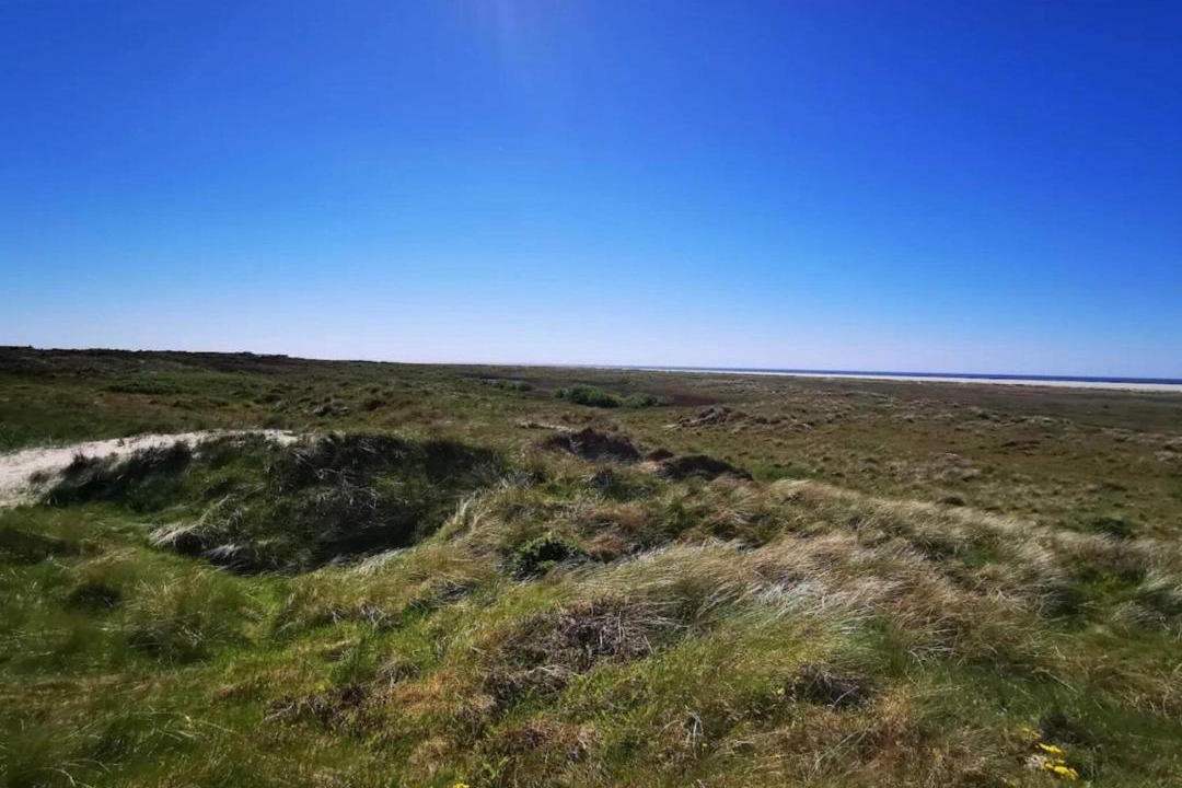 Photo of Others in Rindby Strand